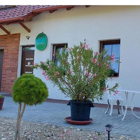 Patak Vendégház Zalaegerszeg Esterno foto